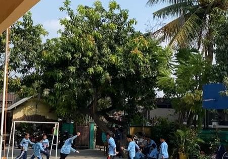 almuchtarkotabekasi.com (14)