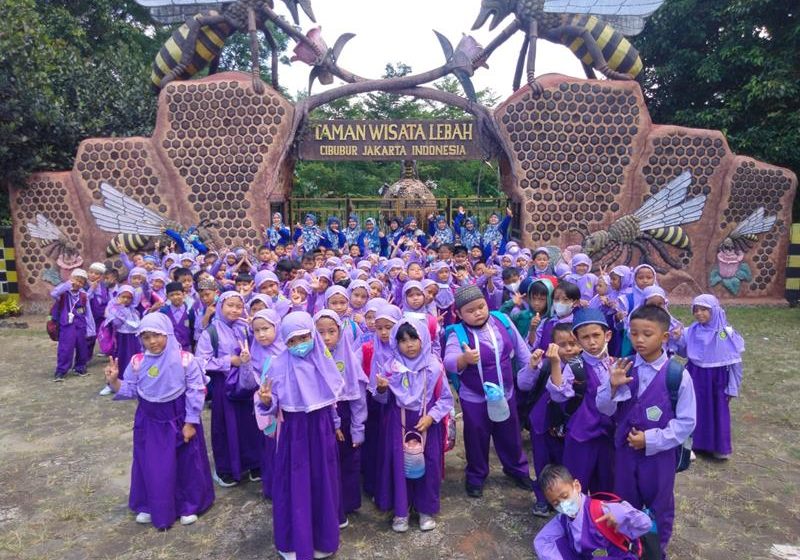 almuchtarkotabekasi.com (19)